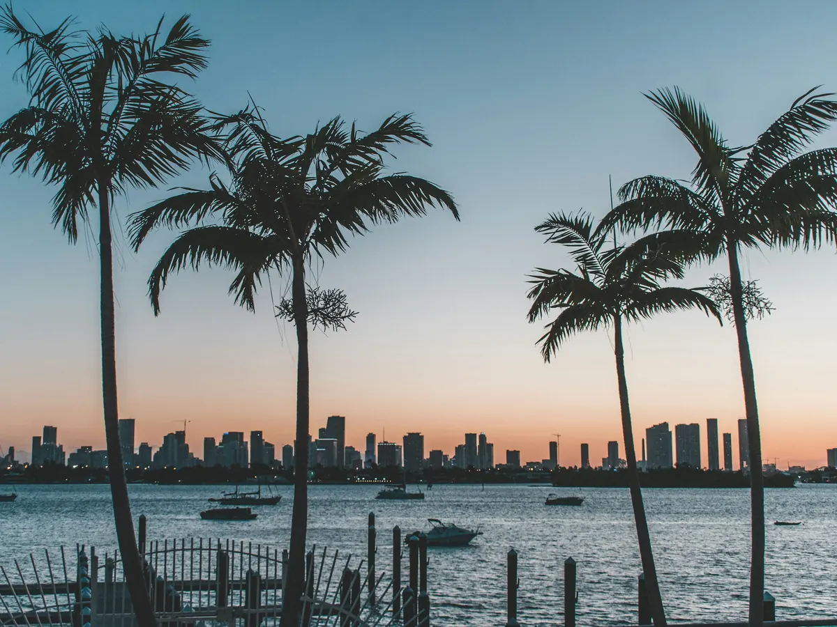 Palm trees against a Miami sunset